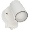 Koizumi Lighting AU50449 Exterior Spotlight, White
