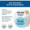 Nobi Magnesium Citrate Complex 500 MG High Absorption Formula Relaxation, 120 ct