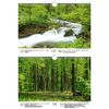 Waldzauber DIN A4 Calendar for 2022 Forest - Soul Magic