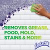 All-Purpose Cleaner, With Bleach, 32 Fl Oz