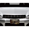 Dog Vanity Aluminum Front License Plate (German Short Haired Pointer)
