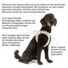 curli Dog Vest Harness with Clasp, Air Mesh, Black, S