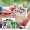 Beaphar Cat Spot On 4 Weeks