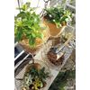 Hanging Wire Tray S 62639
