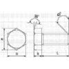 Iron Trivalent