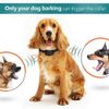 Rechargeable Dog Training Collar LCD Screen Automatic Anti Bark No Barking Shock