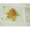 60 Wild eye bird Chili Seeds 🌶️🌶️🌶️