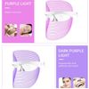 3-1 Colour LED Light Therapy Mask