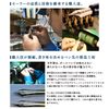 Sailor Professional Gear Realo Silver Fountain Pen