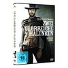 Zwei glorreiche Halunken