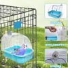 Bird Bathing Container, Parakeet, Parrot, Bathing Case, Bundo, Buddy Parakeet, Small Bird, Bathtub, Outside, Transparent (B)