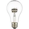 Minimal Land Thermal Bulb, 60W