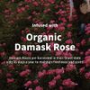 Mamonde Rose Water Toner for Face, Alcohol-Free, Organic, Korean Skin Care, 8.45 Fl Oz