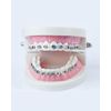 Floss Threaders | for Braces, Bridges, and Implants |210PCS (Pack of 3)