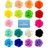 Bluebubble ENGLISH ROSE 22mm Ruby Red Carved Rose DANGLE Earrings on Gift Card