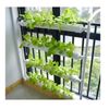 36 Sites  Wall-mounted Hydroponic Grow Kit Veranda Planting Hydroponic Tools