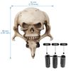 XIMINZ Shift Knob Automatic Skull Shape Universal Gear Knob Replacement with 3 Adapter White