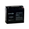Bright Way Group 12V 22AH SLA Battery NB Terminal