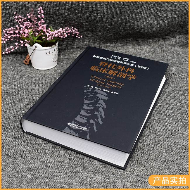 脊柱外科临床解剖学 钟世镇现代临床解剖学全集 第二2版 丁自海 王增涛 山东科学技术出版社