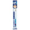 taisho pharmaceutical dentist elementary school regular pack of 12