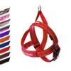 EzyDog Quick Fit Dog Harness - Premium Padded No-Pull Harness, Red, Extra Small