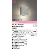 Oderic Exterior LED Pouch Light, High Color Rendering Motion Sensor, Rainproof, Bulb Color, Matte Silver: OG254867LCR