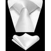 RBOCOTT White Tie and Pocket Square Necktie Set for Men(44)