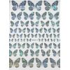Silver & Black Half Butterfly Nail Sticker Designs Nail Trends Split Butterfly