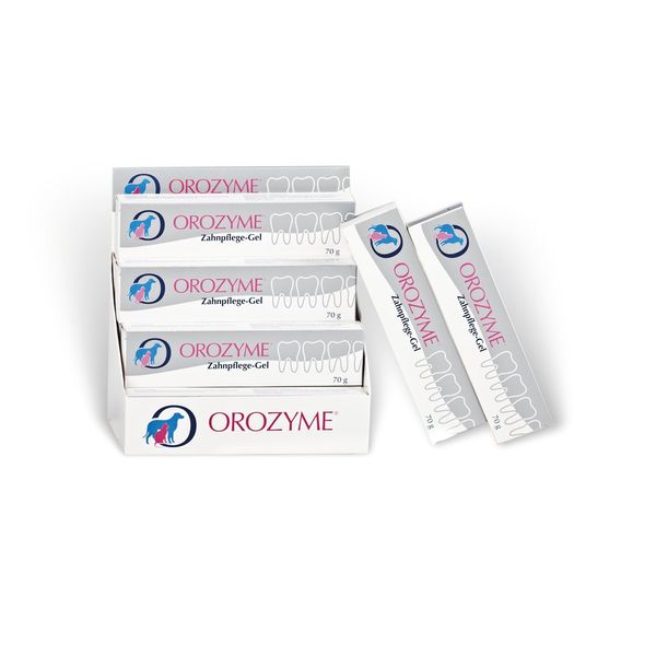 Orozyme Dental Care Gel 70 g