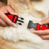 Buckle-Down Plastic Clip Collar - STEEZ Flat Red/White - 1.5" Wide - Fits 16-23" Neck - Medium