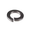 Polaris New OEM Cooling System Lock Washer, 7552611