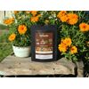 Calendula Tea - Skin and Immune Support