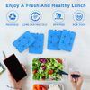 OUTXE Ice Packs for Lunch Box 8 Pack- Reusable Ultra-Thin Freezer Packs - Long-Lasting Cool Packs for Coolers, Keep Food Fresh and Cold in Lunch Boxes and breastmilk Bags - 8 Pack (Blue)