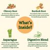 Probiotics with Prebiotics for Pets | Powder