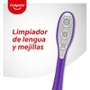 Colgate Toothbrushes 360 Degrees Compact Head Medium