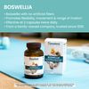 Himalaya Boswellia, Joint Support for Mobility and Flexibility, Promotes Tissue Preservation, 250 mg, 60 Capsules