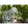 Home-Complete 514537FXW Walk-in Greenhouse-Indoor Outdoor with 8 Sturdy Shelves-Grow Plants, Seedlings, Herbs, or Flowers in Any Season-Gardening Rack, Green