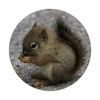 Cute Baby Squirrel Pop Mount Socket PopSockets with Replaceable PopGrip