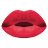 Forever Matte Lipquid- Wild Fire