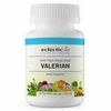 Valerian sitchensis  90 Caps By Eclectic Herb