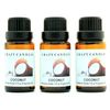 Crazy Candles Coconut 3 Bottles 1/2 FL Oz Each (15ml) Premium Grade Scented Fragrance Oil