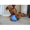 Jolly Pets Monster Ball - Blue - 3.5" (MB35)