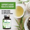 Green Tea Extract Capsules 98% Standardized EGCG 1000mg - 3X Strength for Natural Energy - Heart Support with Polyphenols - Gentle Caffeine - 240 Capsules