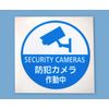 Security Stickers Set of 2 Surveillance Camera Multi-color Round Blue