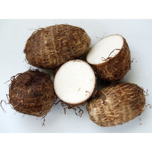 Fresh Taro Root 10 Lbs, Small Size