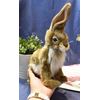 Jack Rabbit Blacktailed Plush Toy By Hansa 8"