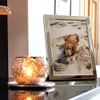 Evergreen Silver Plated Frame, 4x6 [10x15cm]
