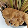 Vivid Arts - Ginger Cat & Kitten - PLP-115
