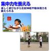 Felimoa Bouncing Balls, Training, Reflexes, Motion Vision, Concentration, Set of 4 Colors