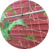 Jute Netting Pea and Bean Biodegradable String Netting (Natural, 2m x 5m Natural)